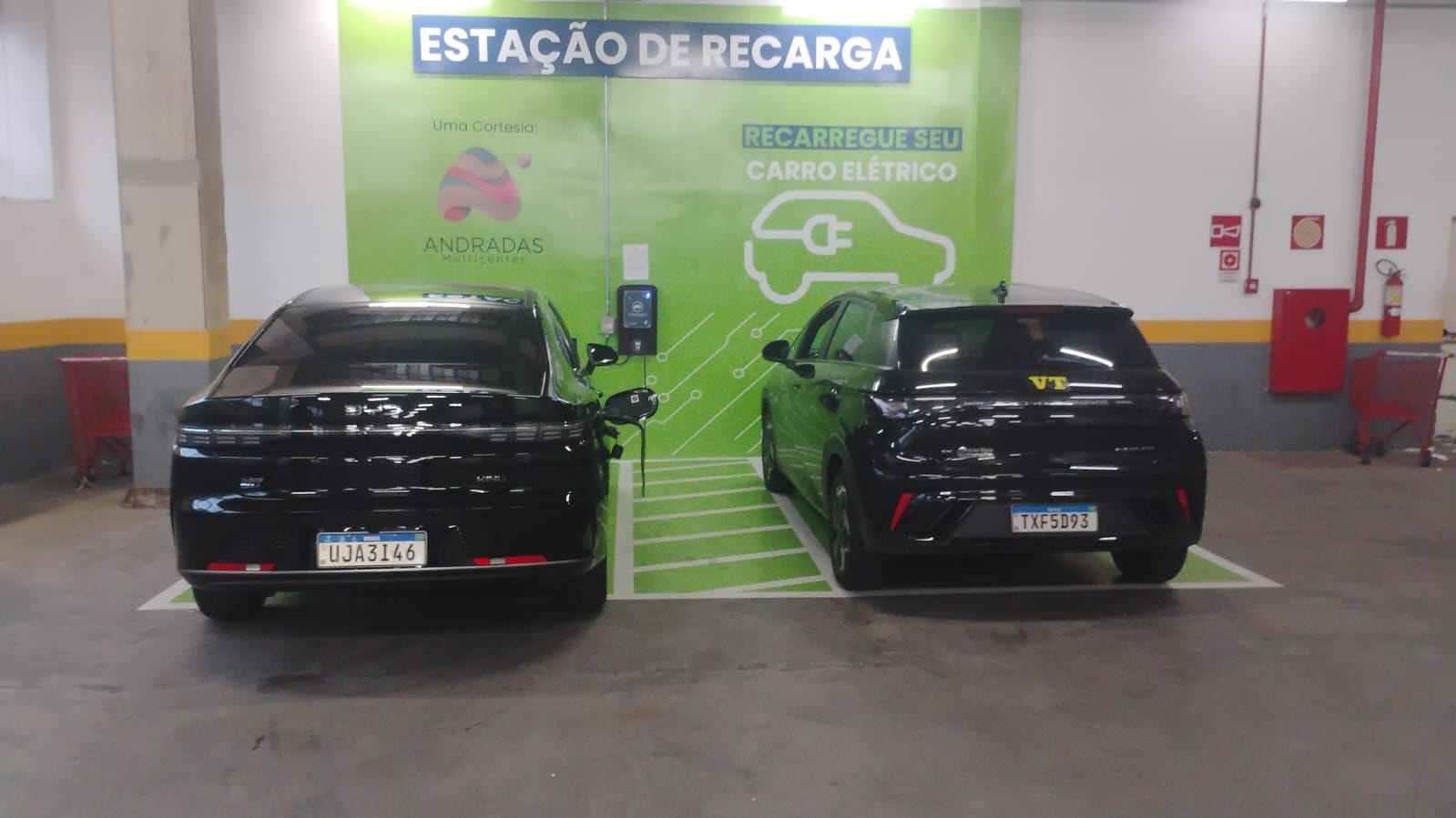 Preparando os carros para atender clientes Woliv